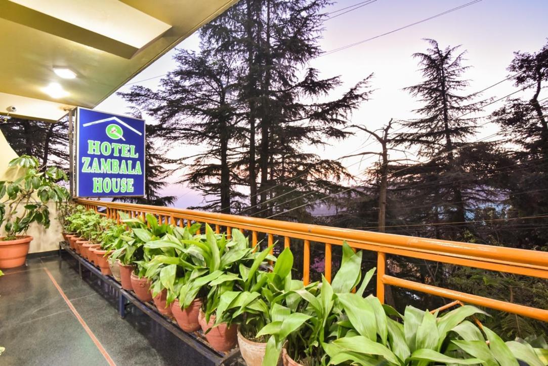 Hotel Zambala House ماكليود غانج المظهر الخارجي الصورة