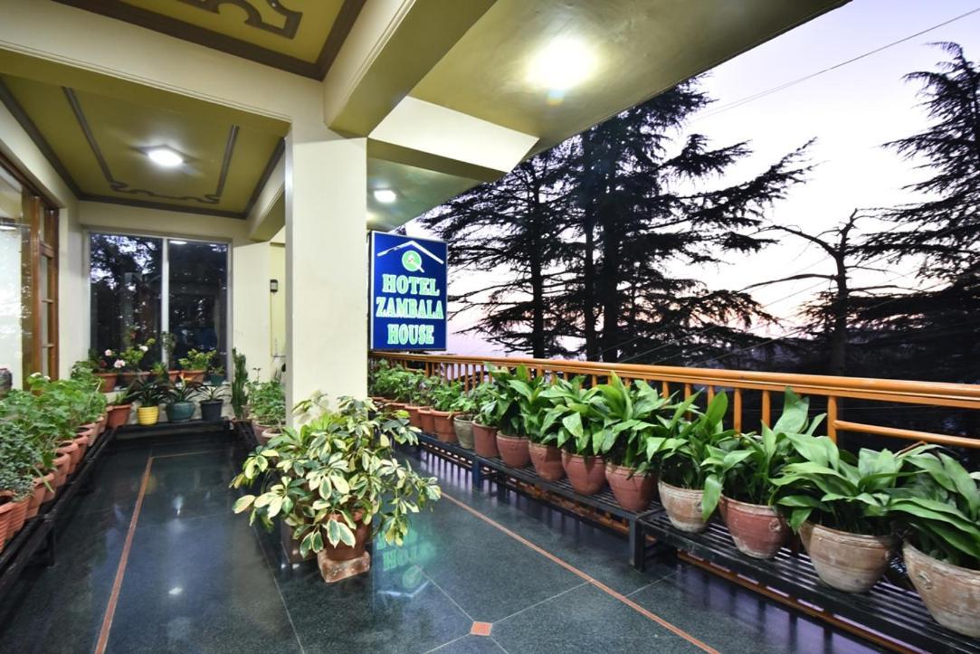 Hotel Zambala House ماكليود غانج المظهر الخارجي الصورة